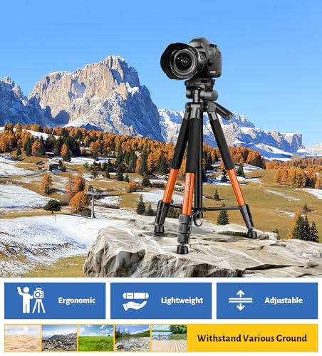 Tripod for Camera