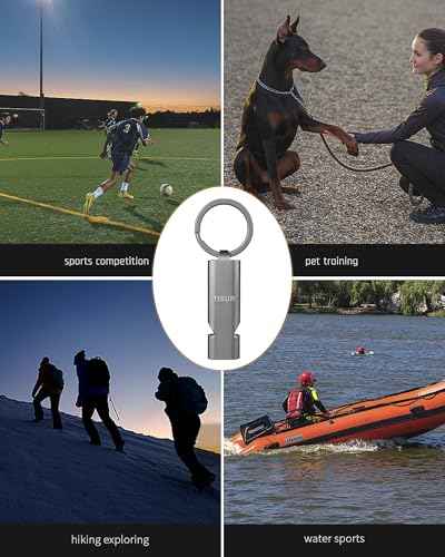 Loud Emergency Whistles (2 Count)