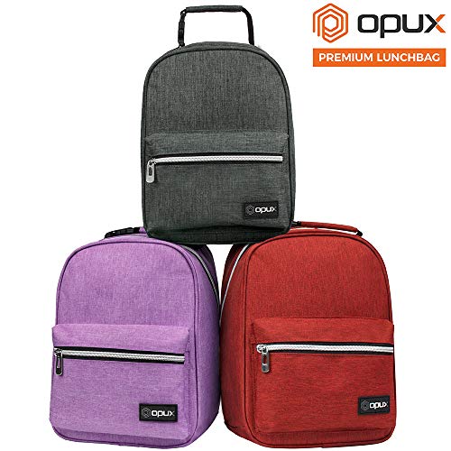 Insulated Lunch Box for Kids and Adults