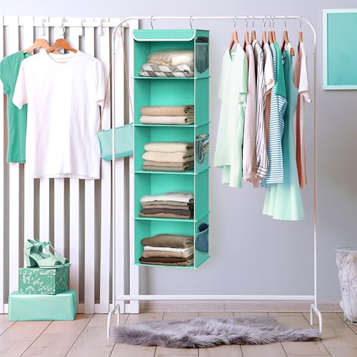 5 Shelf Hanging Closet Organizer