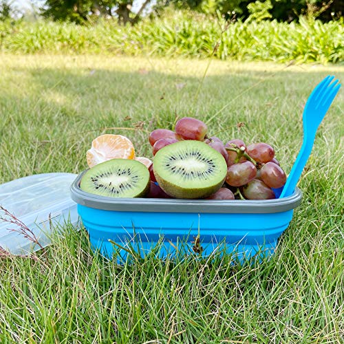 800ml Collapsible Bento Lunch Box