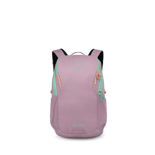 Astronova Campus Laptop Backpack