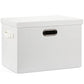 Large 17" 36 Quart Collapsible Stackable Storage Bins with Lids
