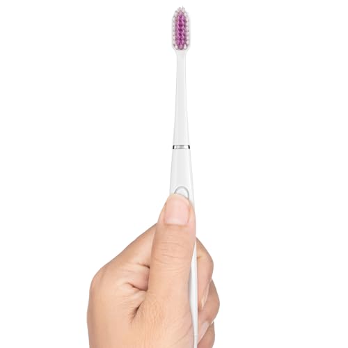 Sonic Powered Toothbrush