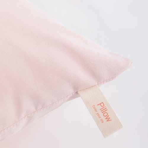 Toddler Pillows (2 Count)
