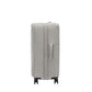 Large Checked Luggage