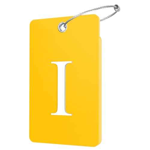 2 Pack Initial Luggage Tags for Suitcases Airplane Travel Essentials (2 Count)