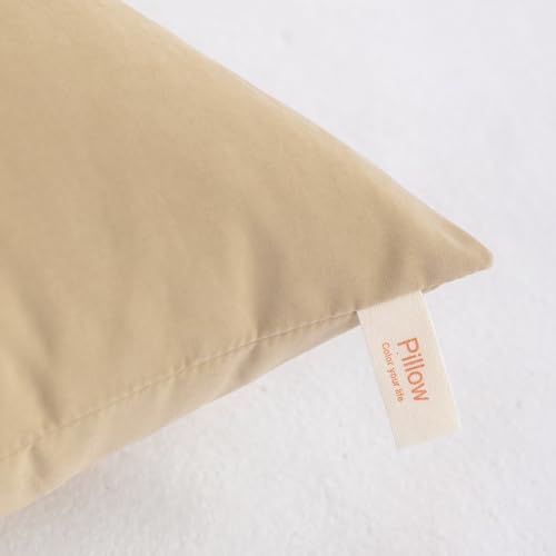 Toddler Pillows (2 Count)