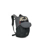 Comet Laptop Backpack