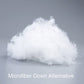 Cotton Toddler Pillows (2 Count)