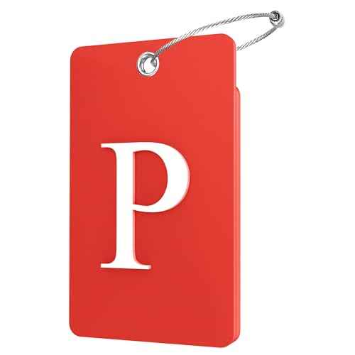 2 Pack Initial Luggage Tags for Suitcases Airplane Travel Essentials (2 Count)