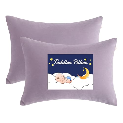 Toddler Pillows (2 Count)