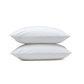 Down Alternative Bed Pillows and Pillow Protector Case Set (2 Count)