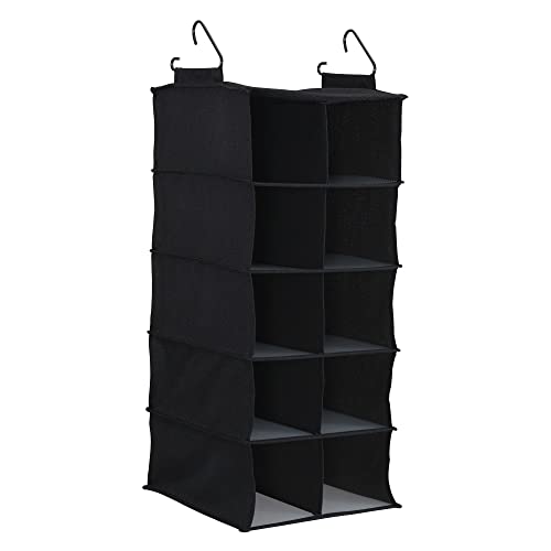 10 Pocket Hanging Shoe Closet Organizer with Hooks