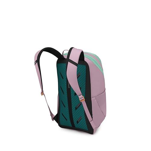 Astronova Campus Laptop Backpack