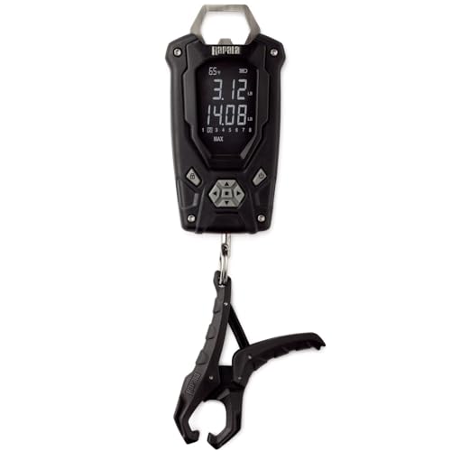Digital Scale