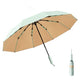 Folding Umbrella Anti