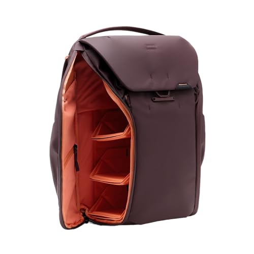 Everyday Backpack 20L