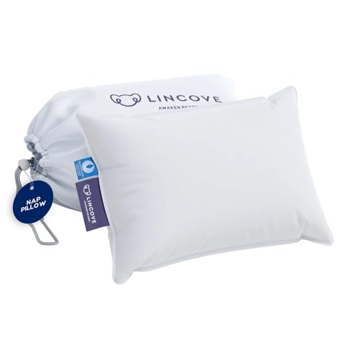 Microgel Travel Pillow