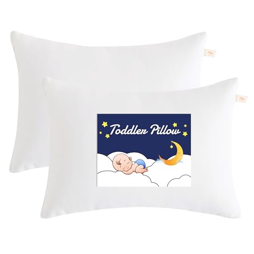 Toddler Pillows (2 Count)