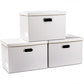 Large Stackable Storage Bins with Lids [3 (3 Count)