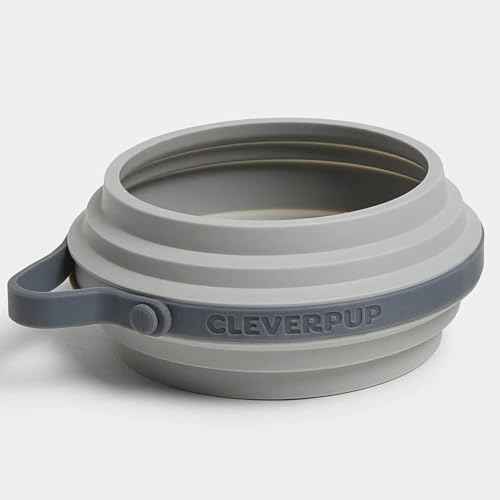 Nomad Small Collapsible Travel Dog Bowl