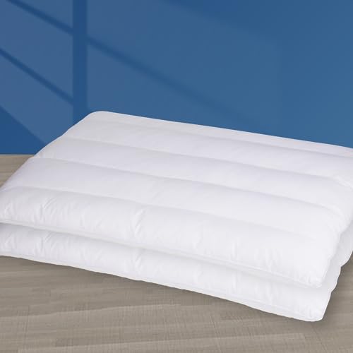 2 Packs Ultra Flat Pillows for Sleeping Thin (2 Count)