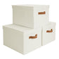Fabric Storage Bins with Lids (3 Count)