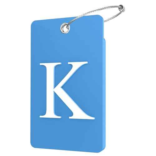 2 Pack Initial Luggage Tags for Suitcases Airplane Travel Essentials (2 Count)