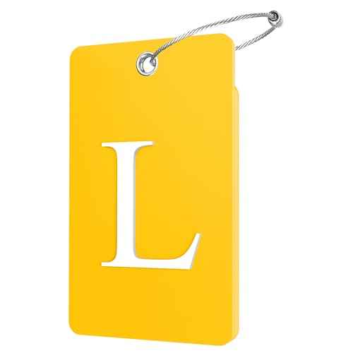 2 Pack Initial Luggage Tags for Suitcases Airplane Travel Essentials (2 Count)