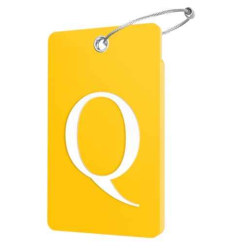 2 Pack Initial Luggage Tags for Suitcases Airplane Travel Essentials (2 Count)