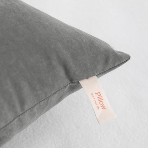 Toddler Pillows (2 Count)