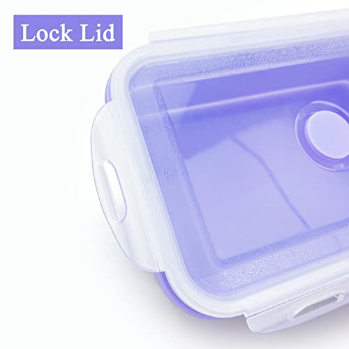 Purple Collapsible Sandwich Container