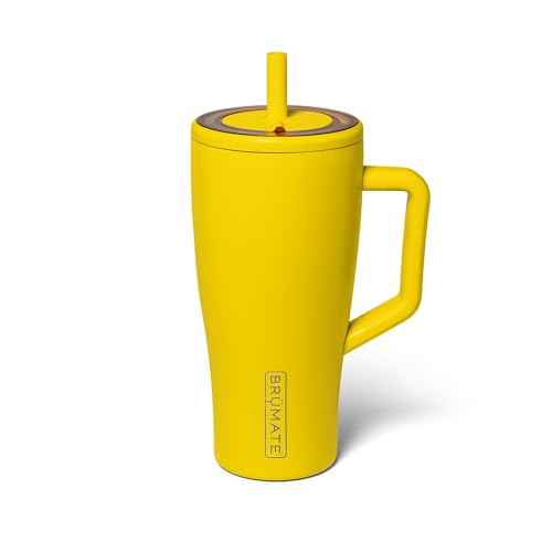Era 30 oz Tumbler with Handle & Straw