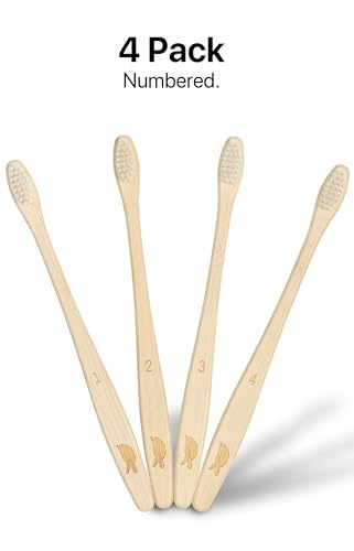 Plant Based Bristles (4 Count)