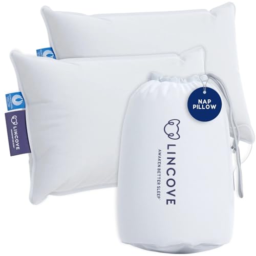 Microgel Travel Pillow