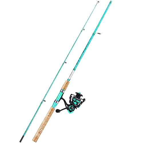 Spinning Fishing Rod Combo