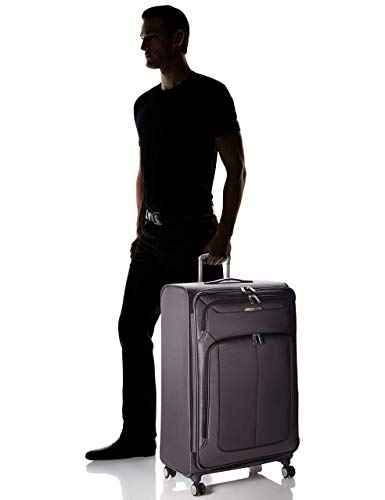 Solyte DLX Softside Expandable Luggage with Spinner Wheels