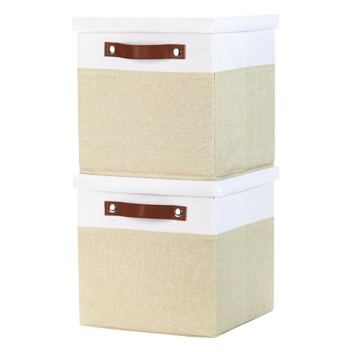 Foldable Fabric Storage Bins with Lids (2 Count)