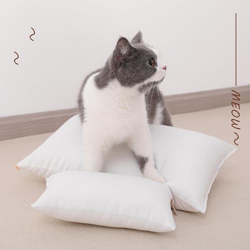 Toddler Pillows (2 Count)