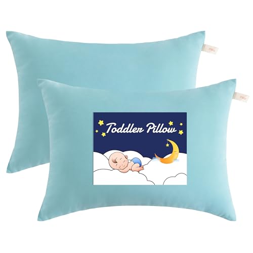 Toddler Pillows (2 Count)