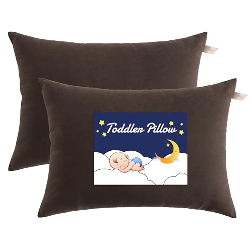 Toddler Pillows (2 Count)