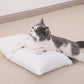 Toddler Pillows (2 Count)