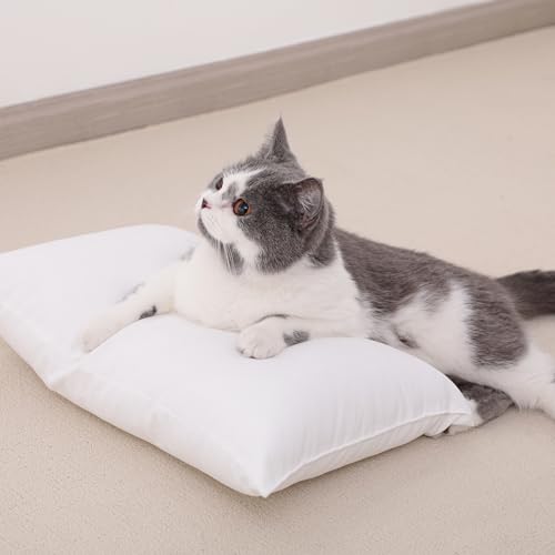 Toddler Pillows (2 Count)