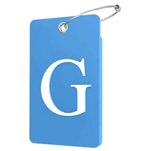 2 Pack Initial Luggage Tags for Suitcases Airplane Travel Essentials (2 Count)