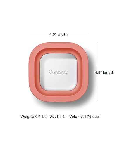 Mini Square Food Storage Container