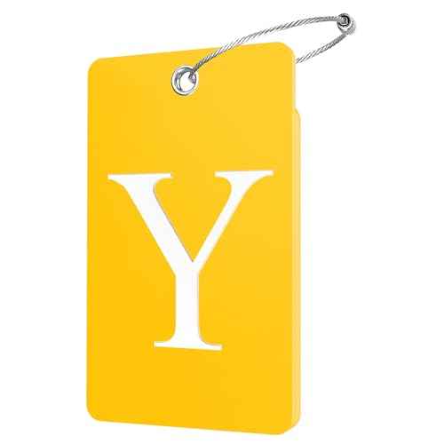 2 Pack Initial Luggage Tags for Suitcases Airplane Travel Essentials (2 Count)