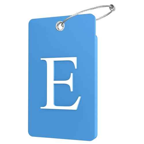 2 Pack Initial Luggage Tags for Suitcases Airplane Travel Essentials (2 Count)