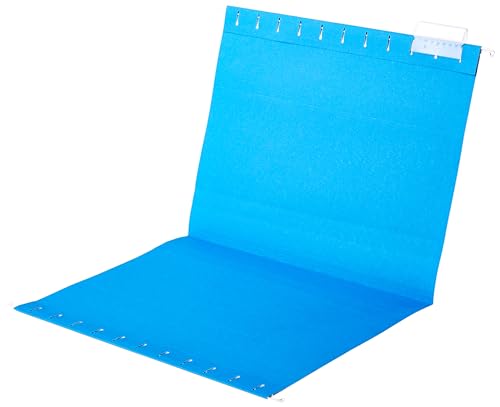 Hanging File Folders with Adjustable Tabs (25 Count)