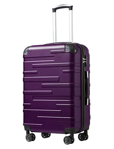 Hardside ABS Luggage